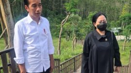 Presiden Jokowi dan Ketua DPR Puan Maharani saat mengunjungi Ibu Kota Nusantara (IKN), Penajam Paser Utara, Kalimantan Timur. (Dok. Dpr.go.id/Man)