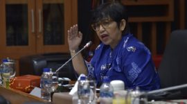Anggota Komisi IX DPR RI Irma Suryani. (Dok. DPR.go.id)