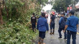 BPBD Kabupaten Pandeglang melakukan pembersihan material yang diakibatkan oleh peristiwa hujan yang disertai angin kencang di Kabupaten Pandeglang. (Dok. BPBD Kabupaten Pandeglang)
